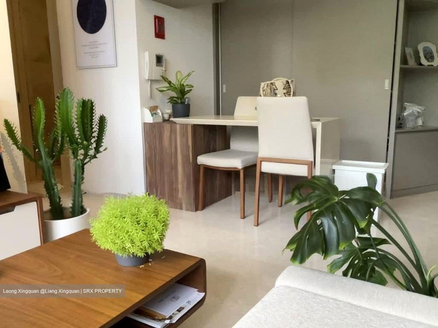 The Boutiq (D9), Apartment #591990291